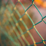 Chain Link vs Wood Fence.