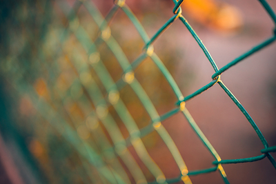 Chain Link vs Wood Fence.