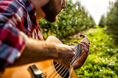 Acoustic Guitar vs Electric Guitar